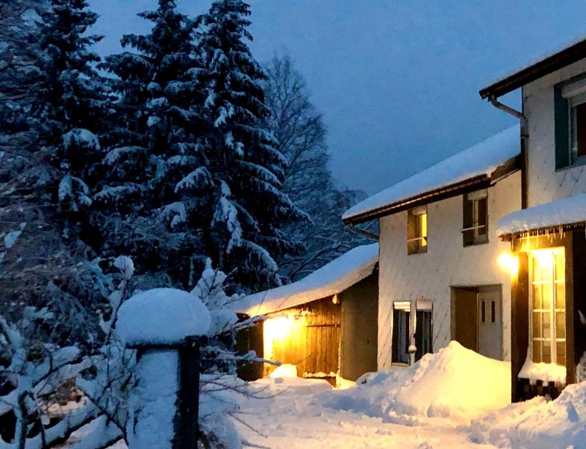 Gite Les Trois Pierres, Proche De Gerardmer Villa Liézey Kültér fotó