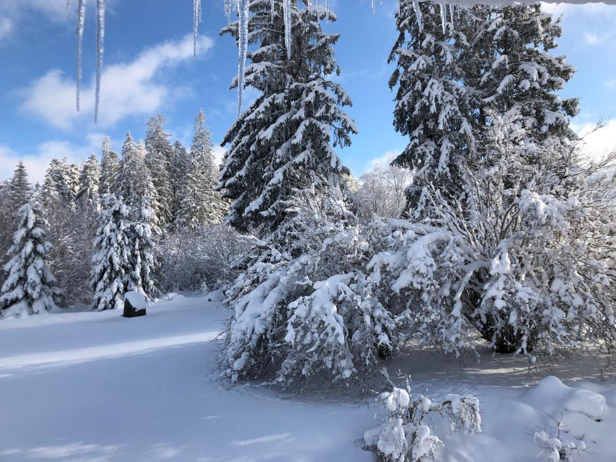 Gite Les Trois Pierres, Proche De Gerardmer Villa Liézey Kültér fotó