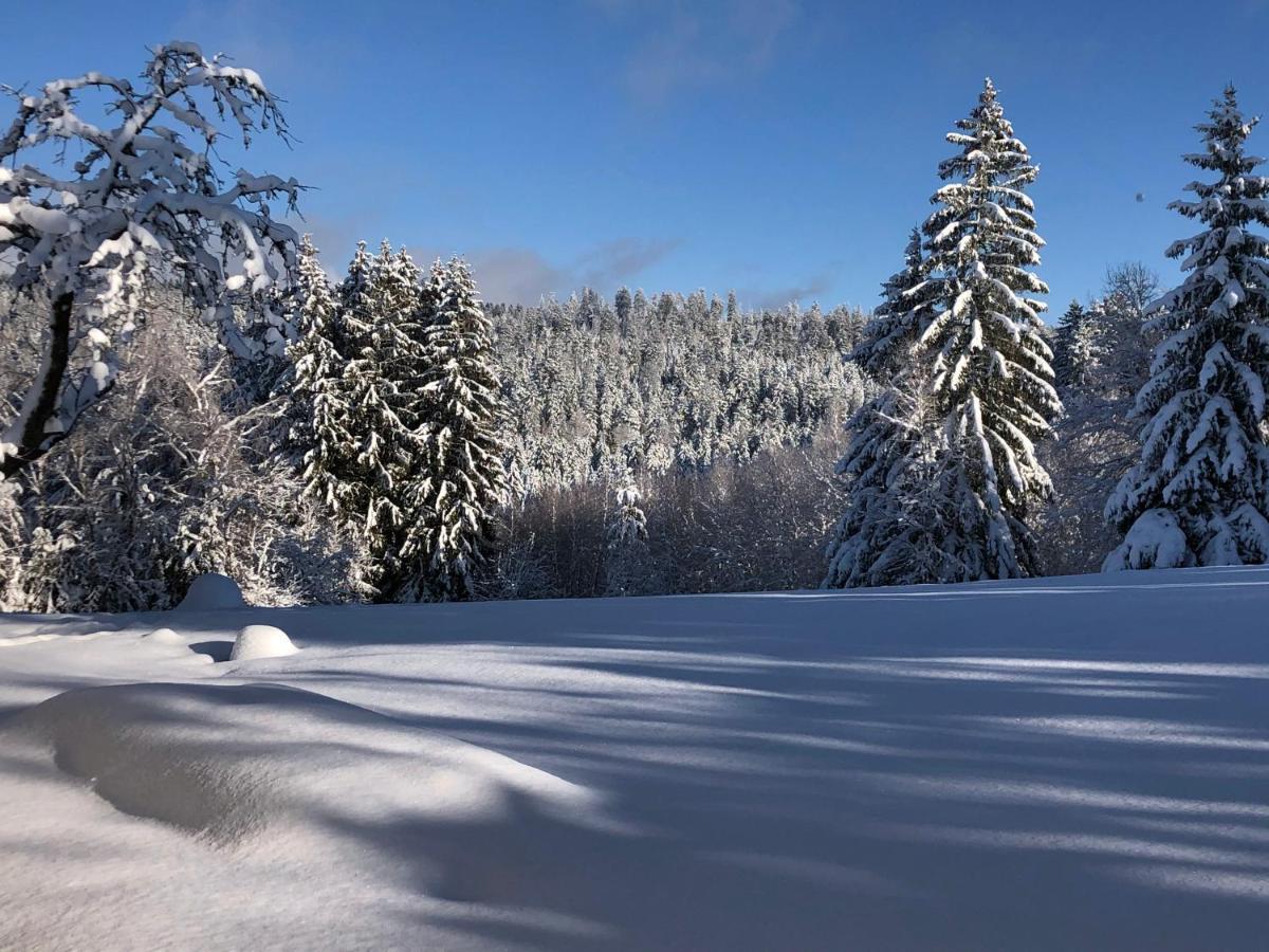 Gite Les Trois Pierres, Proche De Gerardmer Villa Liézey Kültér fotó