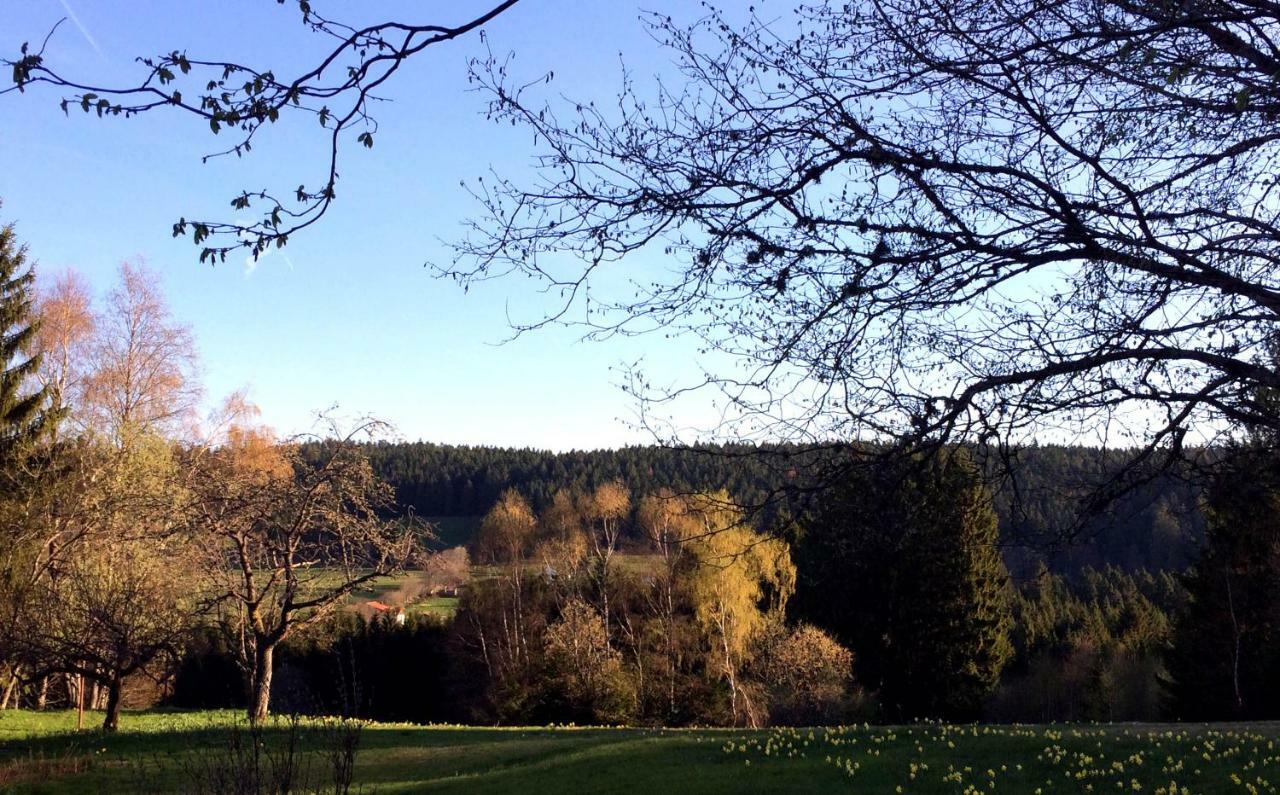 Gite Les Trois Pierres, Proche De Gerardmer Villa Liézey Kültér fotó